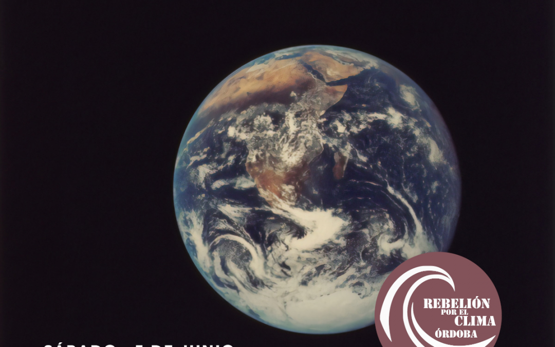 Dia mundial del Medio Ambiente: No hay planeta B